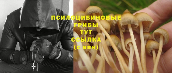 дурь Пересвет