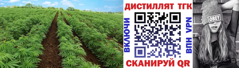 Дистиллят ТГК THC oil  KRAKEN tor  Саки 